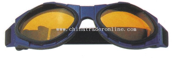 Ski Goggles from China